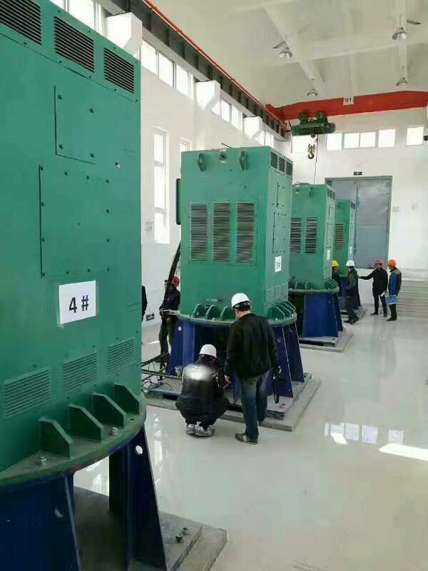 黄岛某污水处理厂使用我厂的立式高压电机安装现场